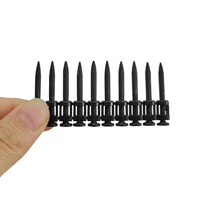 Large Stock High Strength Black Gas Nail com estilo de cabeça plana e aço 60